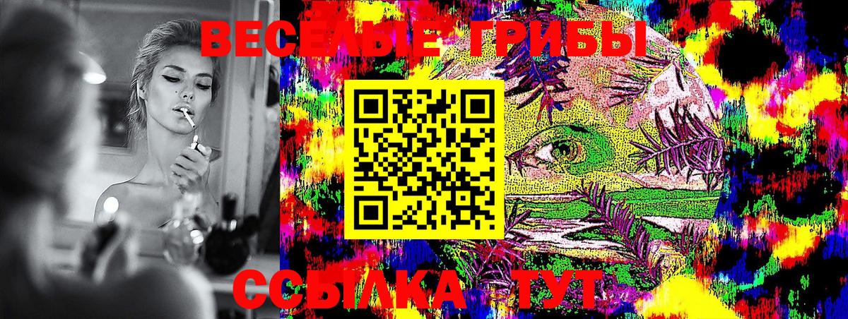 Галлюциногенные грибы Psilocybine cubensis  Вход с VPN  Йошкар-Ола 
