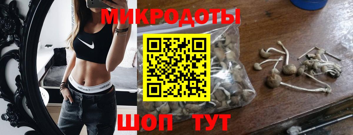 Галлюциногенные грибы Psilocybine cubensis Йошкар-Ола